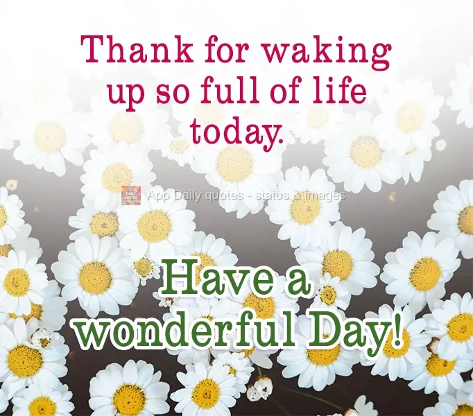 Be thankful for waking up so full of life today. Have a wonderful Day!