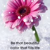 Be that beautiful color that fills life with happiness and sweetness! Good morning!