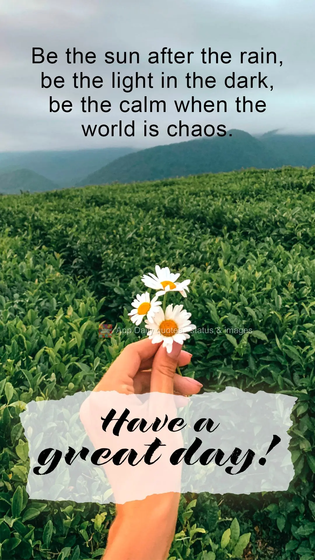 Be the sun after the rain, be the light in the dark, be the calm when the world is chaos. Have a great day!