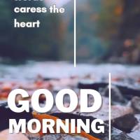 Beautiful words caress the heart and make everything lighter! Good morning!