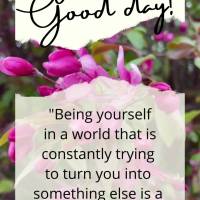 "Being yourself in a world that is constantly trying to turn you into something else is a great achievement." Have a good day! Ralph Waldo Emerson