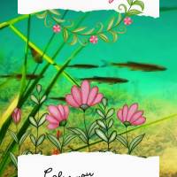 Calm your heart, everything is ok when we maintain calm. Good morning!