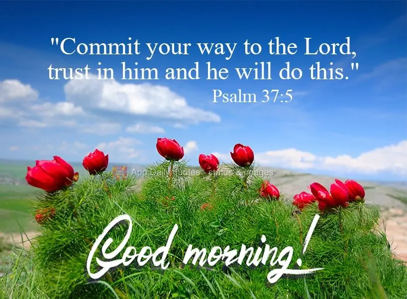 "Commit your journey to the Lord, trust in him and he will do all." Good morning!  Psalms 37:5 