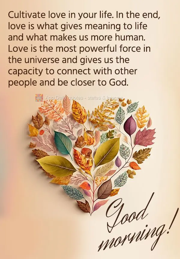 Cultivate love in your life. In the end, love is what gives meaning to life and what makes us more human. Love is the most powerful force in the universe...