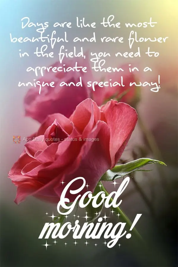 Days are like the rarest, most beautiful flower in the field, you need to appreciate them in a unique and special way! Good morning!