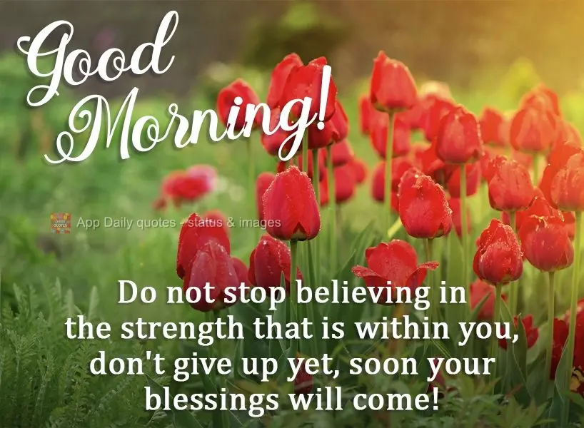 Do not stop believing in the strength that is within you. Don't give up yet, soon blessings will come! Good morning! 