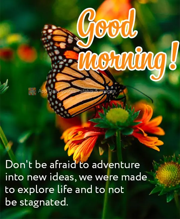 Don't be afraid to adventure into new ideas, we were made to explore life and to not be stagnated. Good morning!