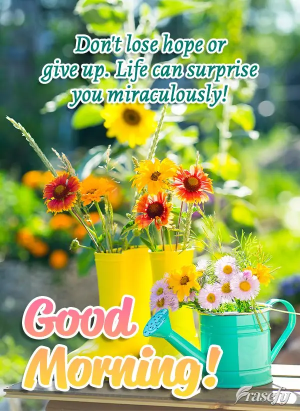 Don't lose hope or give up. Life can surprise you miraculously! Good morning!
