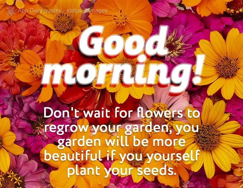 Don't wait for flowers to regrow by themselves in your garden. Your garden will be more beautiful if you yourself plant more seeds. Good morning!