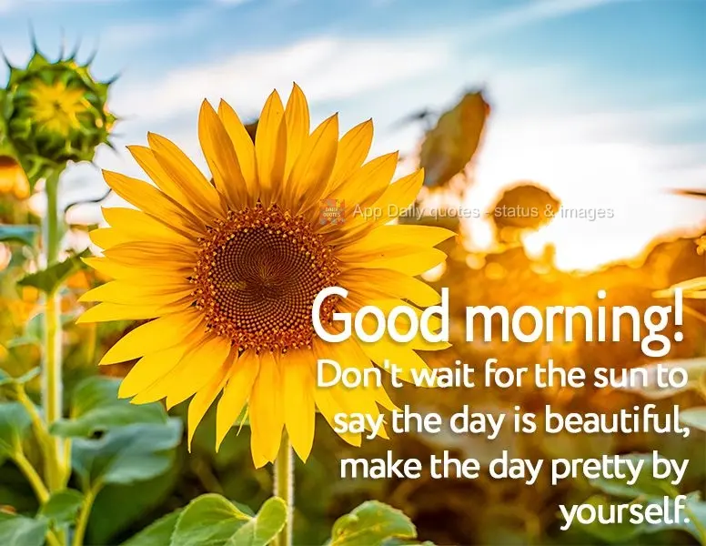 Don't wait for the sun to say the day is beautiful, make the day pretty by yourself. Good morning!