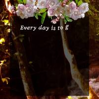 Each day we must give thanks for the things we will receive. May new blessings come in the name of the Lord, and may He accept our praise with affection....