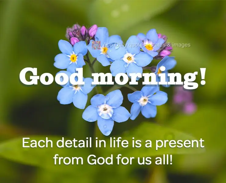 Each detail in life is a present from God for us all! Good morning!