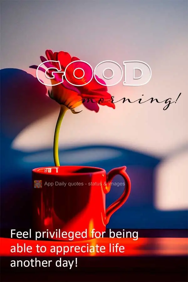 Feel privileged to be able to appreciate another day of life! God morning!