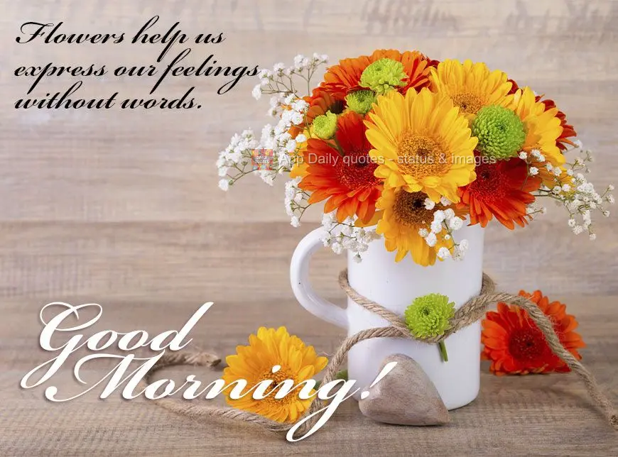 Flowers help us express our feelings without words. Good morning!