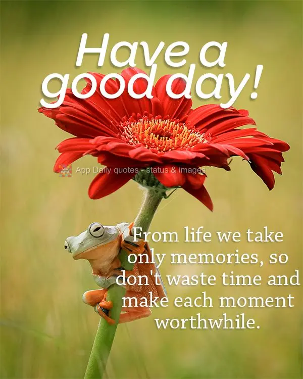 From life we take only memories, so don't waste time and make each moment worthwhile. Have a good day!
