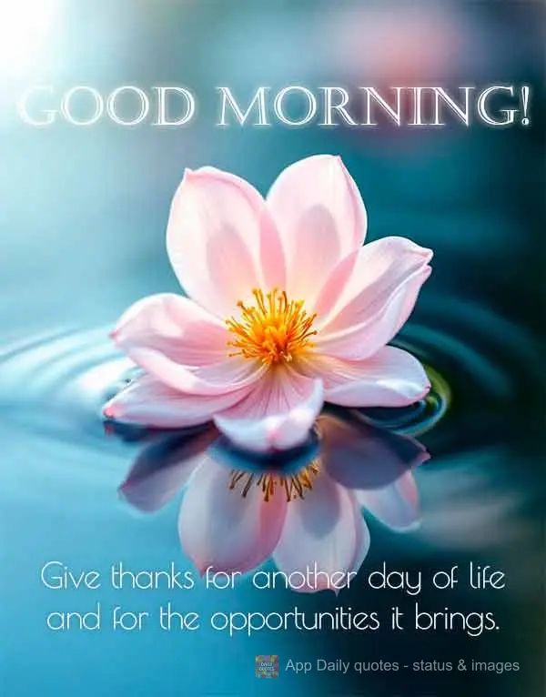 Give thanks for another day of life and for the opportunities it brings. Good morning!