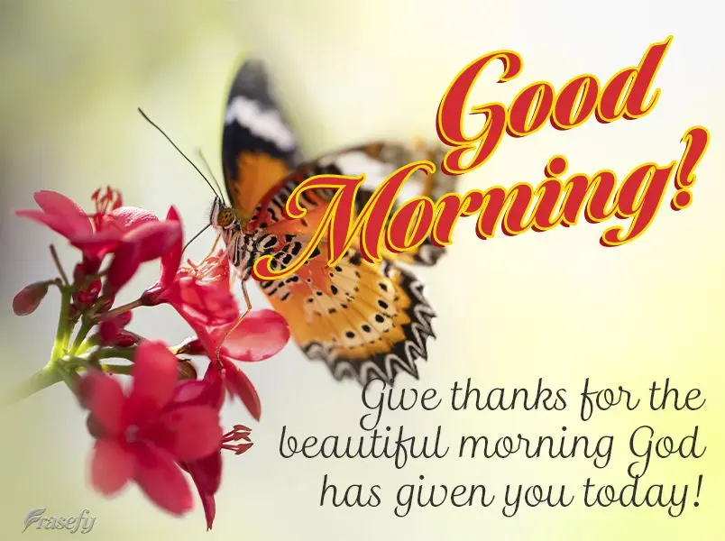 Give thanks for the beautiful morning God has given you today! Good morning!