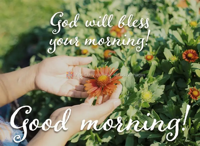 God will bless your morning! Good morning!