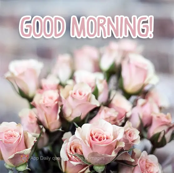 Good morning! Good morning!