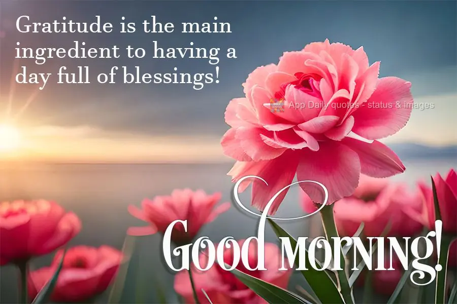 Gratitude is the main ingredient to having a day full of blessings! Good morning!