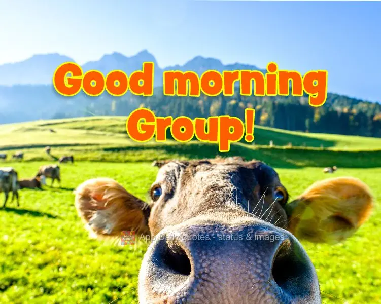 Good morning Group!