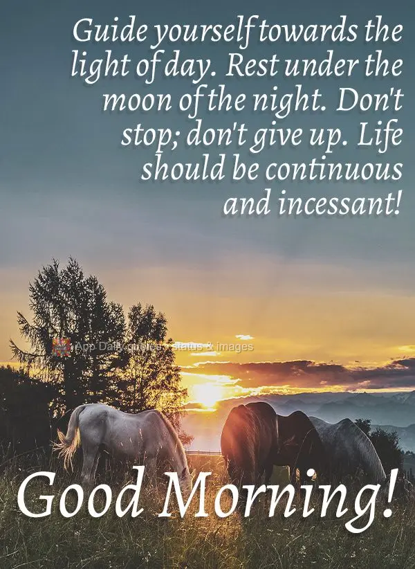 Guide yourself towards the light of day. Rest under the moon of the night. Don't stop; don't give up. Life should be continuous and unceasing! Good Morni...