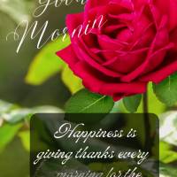 Happiness is giving thanks every morning for the blessings of God. Good morning!