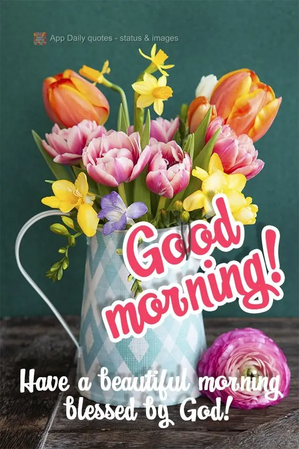 Have a beautiful morning blessed by God! Good morning!