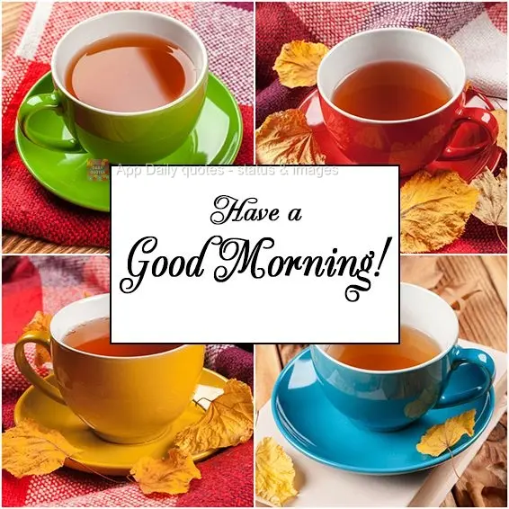 Have a Good Day!