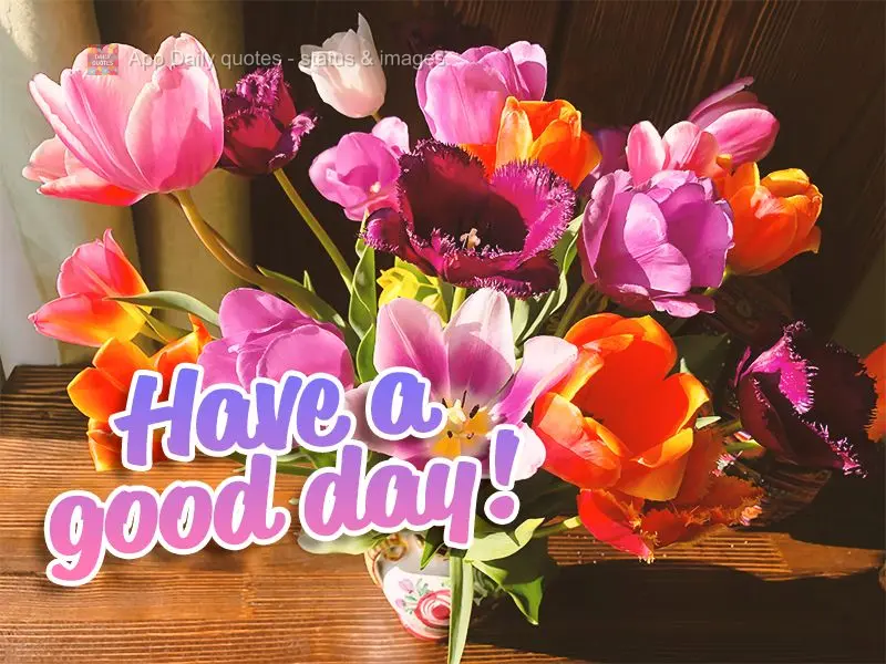Have a good day!