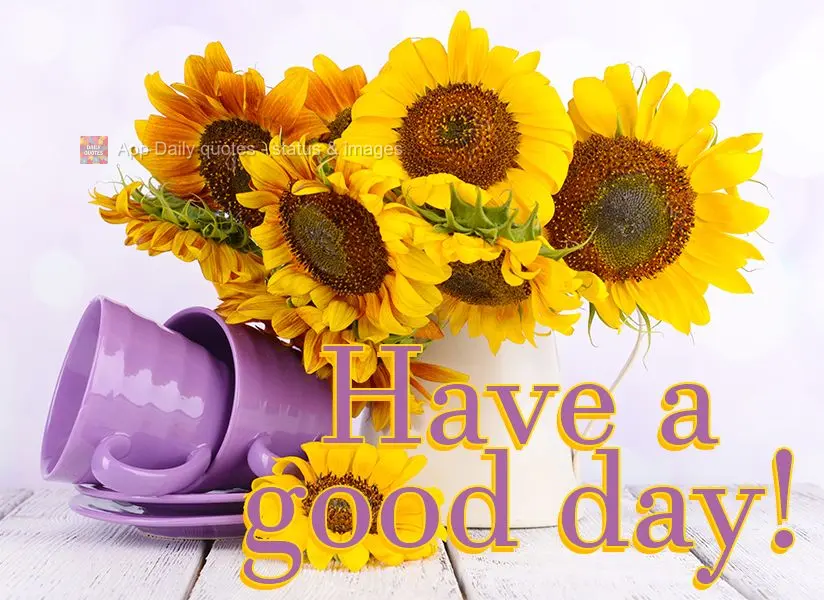 Have a good day!
