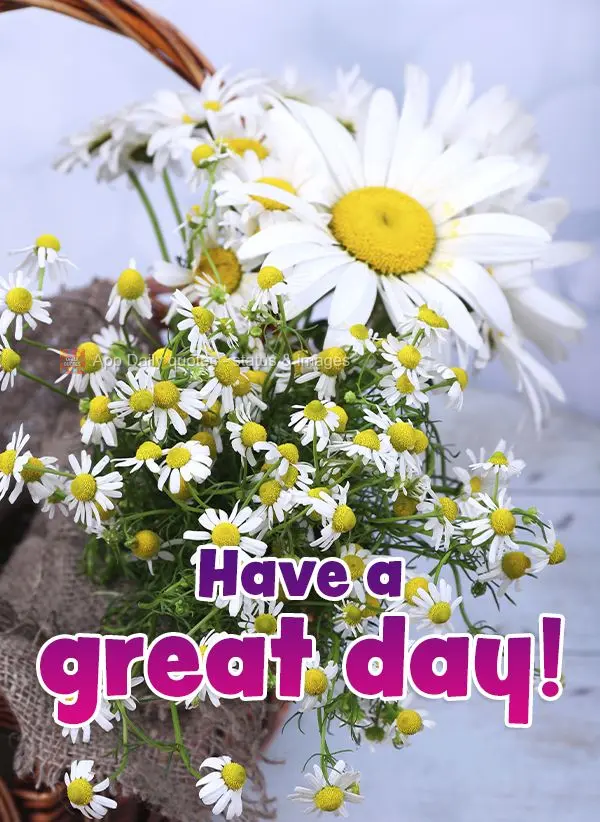 Have a great day!