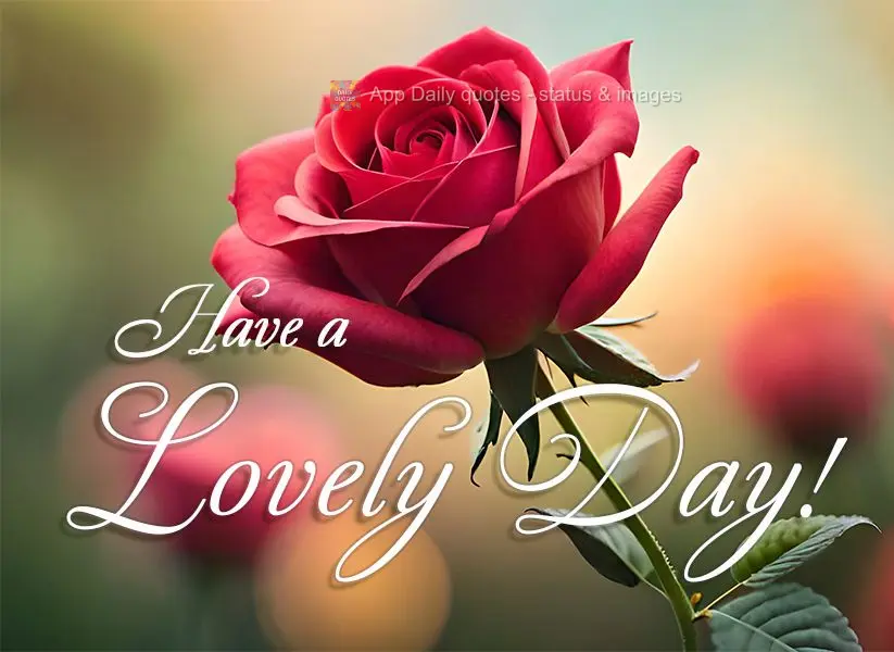 Have a lovely day!