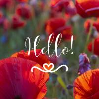Hello! May your day be prosperous... May many blessings and much love be granted! Share the good things in life! And don't forget to be happy! Because yo...
