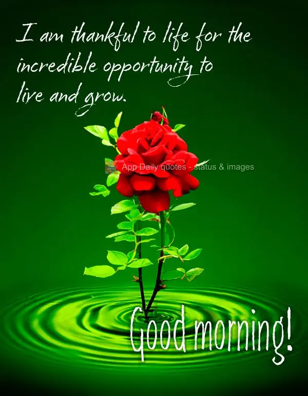 I am thankful to life for the incredible opportunity to live and grow. Good morning!