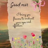 I bring you flowers to enchant your eyes and affection to sweeten your heart! Good morning!