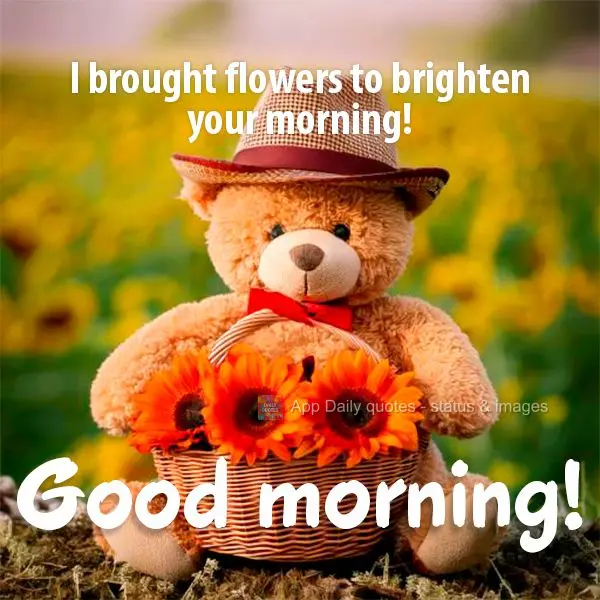 I brought flowers to brighten your morning! Good morning!