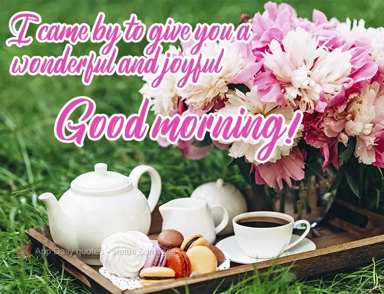 I came by to give you a wonderful and joyful Good morning! 