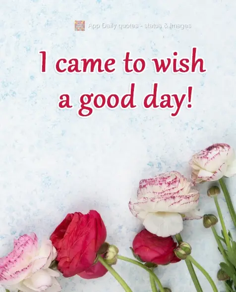 I came to wish you a good day!