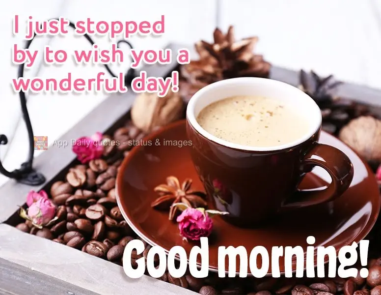 I just stopped by to wish you a wonderful day! Good morning!
