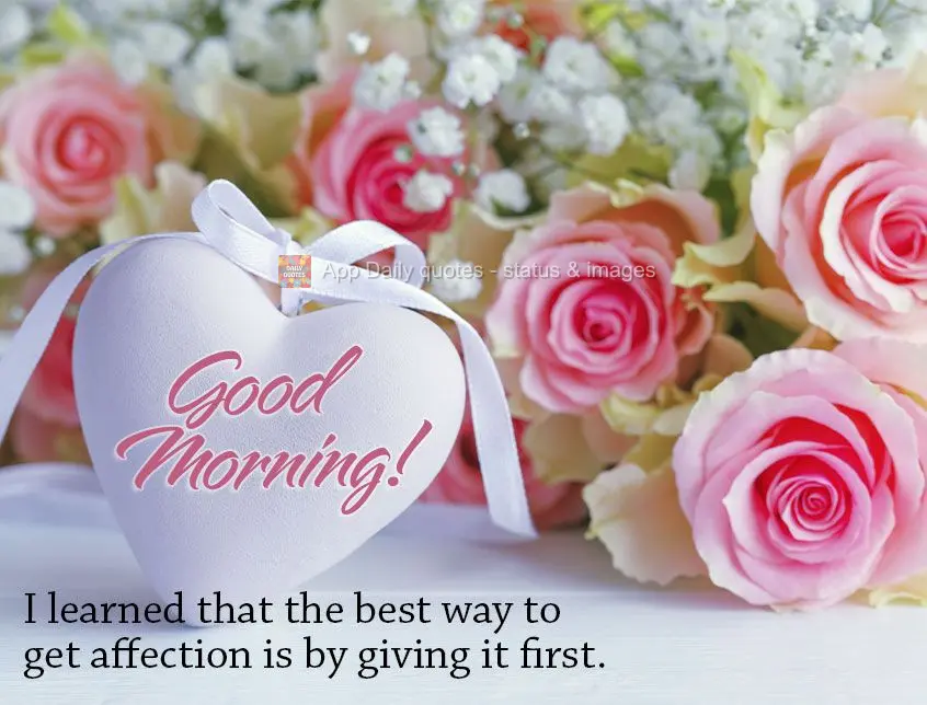 I learned that the best way to get affection is by giving it first. Good morning!