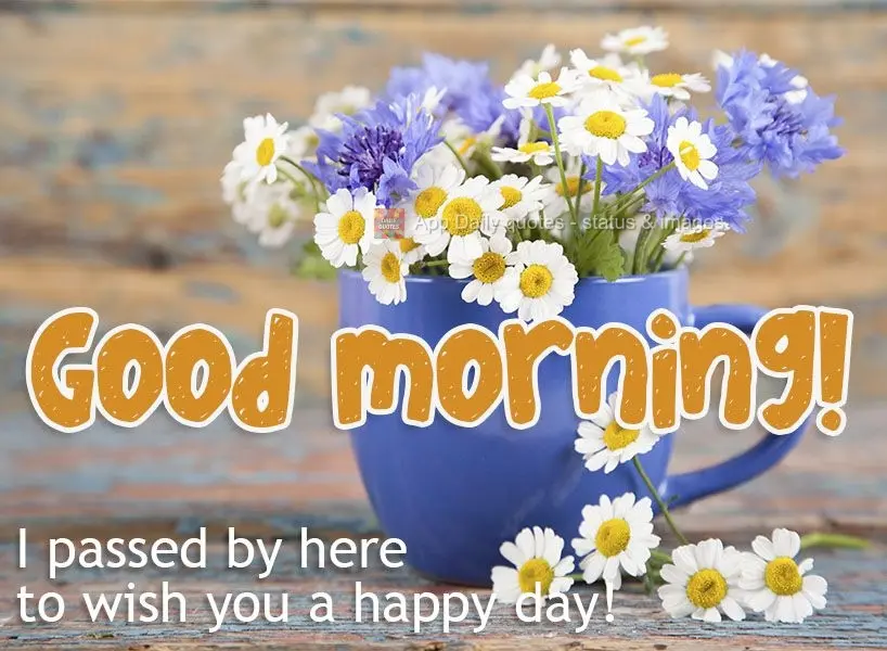 I stopped by to wish you a happy day! Good morning!