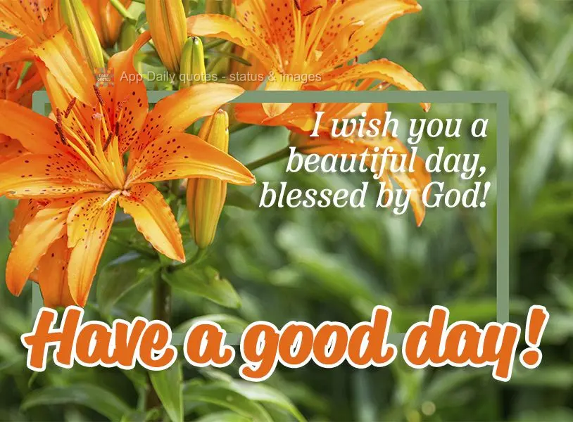 I wish you a beautiful day, blessed by God! Have a good day!