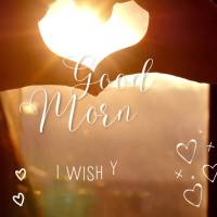 I wish you a day full of love, peace, and gratitude! Good morning!