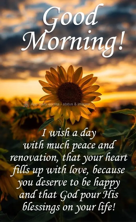 I wish you a day of peace and renewal and a heart full of love, because you deserve to be happy. May God pour His blessings into your life! Good Morning!...