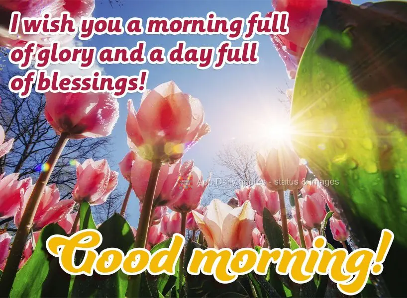 I wish you a morning full of glory and a day full of blessings! Good morning!