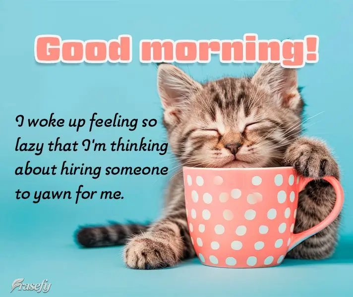 I woke up feeling so lazy that I'm thinking about hiring someone to yawn for me. Good morning!