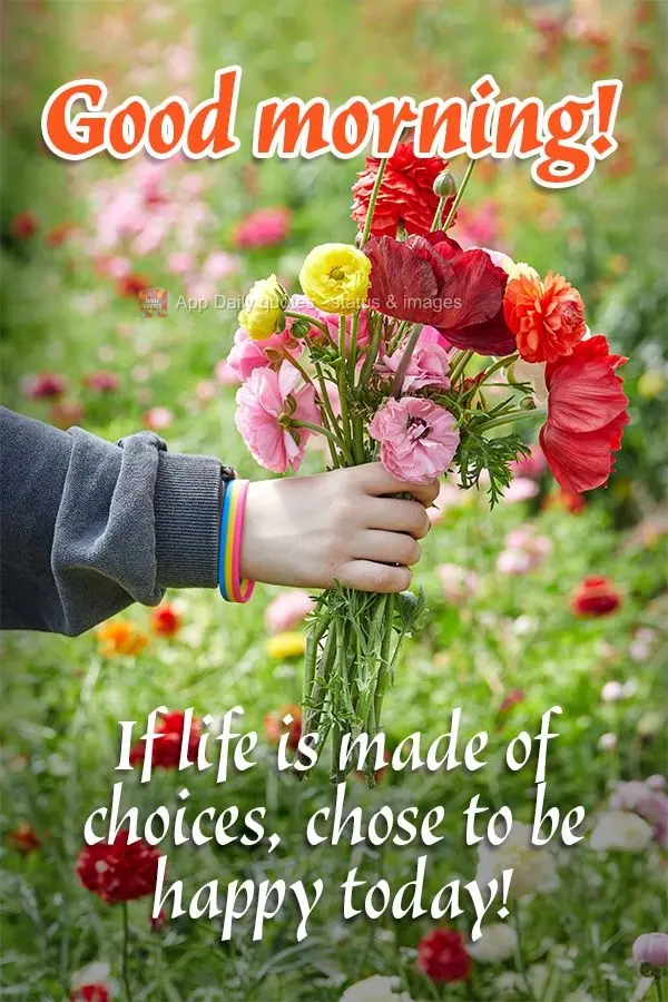 If life is made of choices, chose to be happy today! Good morning! 