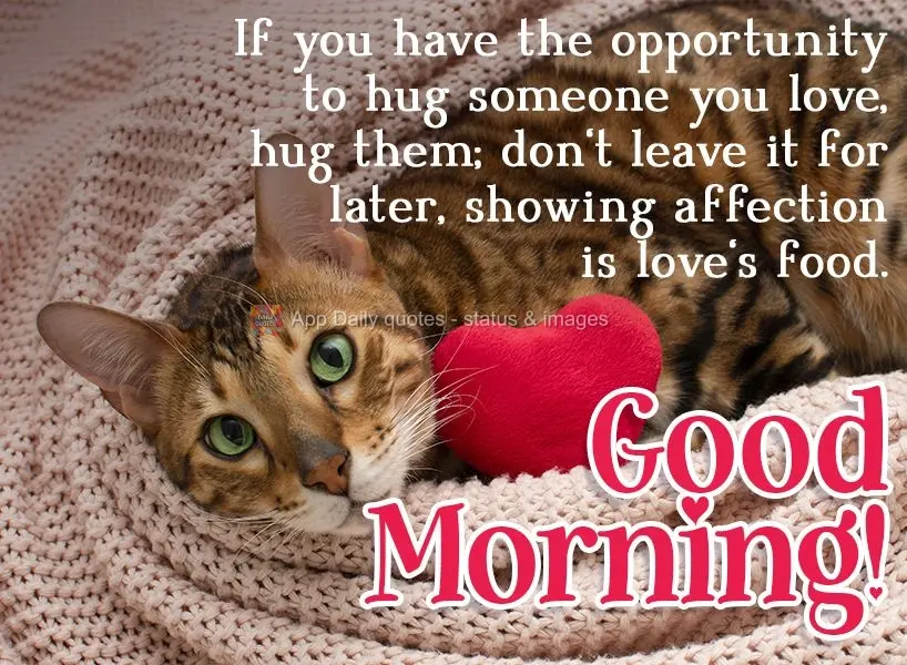 If you have the opportunity to hug someone you love, hug them; don't save it for later. Showing affection is love's nourishment. Good morning!