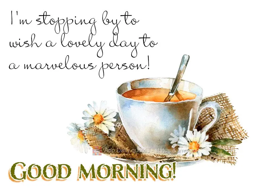 I'm stopping by to wish a lovely day to a marvelous person! Good morning!